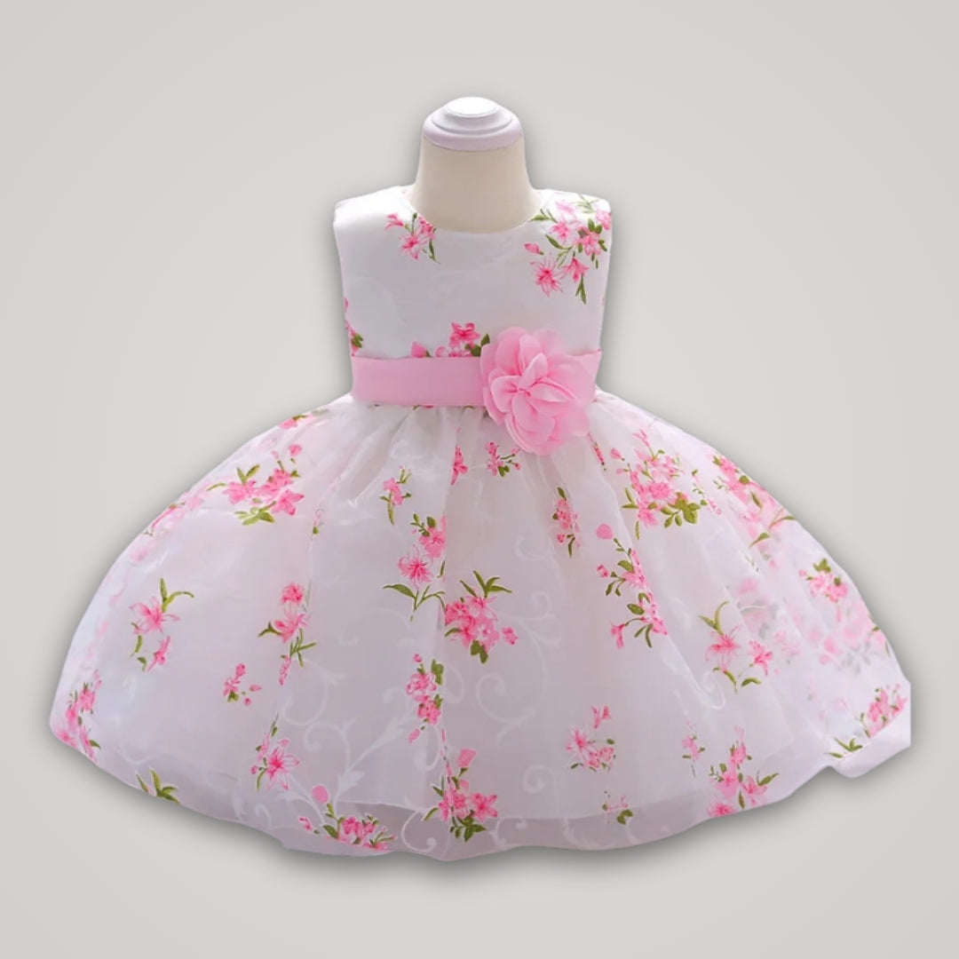 Floral Embroidery Dress