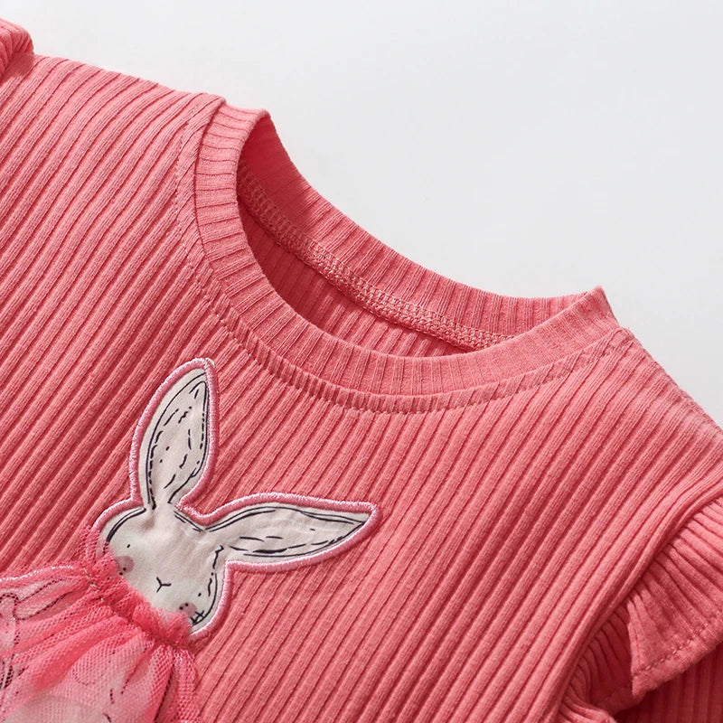 Baby Girl Mesh Dress