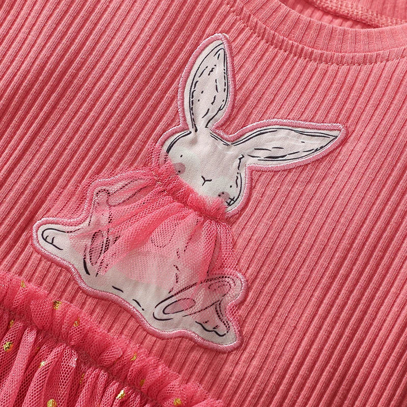 Baby Girl Mesh Dress