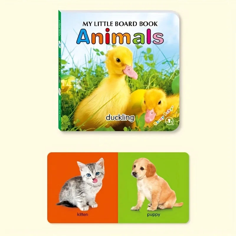 Colorful Book for Babies
